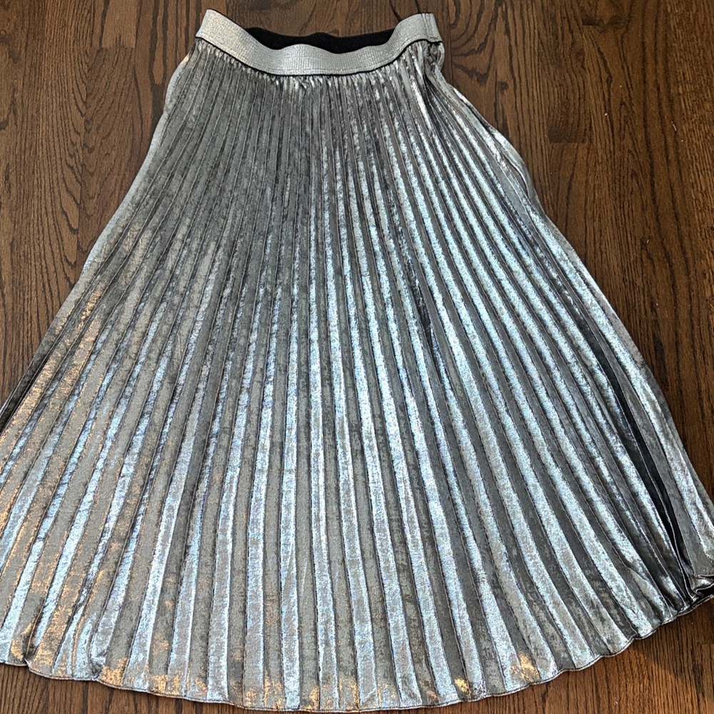Lucy Paris Metallic Silver A-Line Skirt
